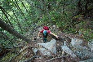 13490580_10153705607632467_6495539591524055165_o